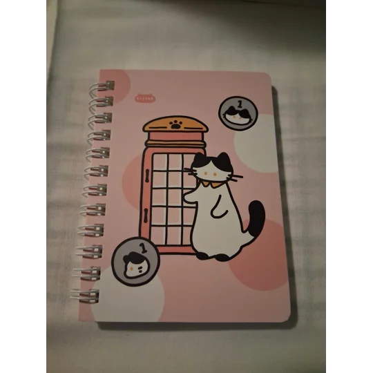 SILLY KITTY POCKET NOTEBOOKS - 1 ea avail