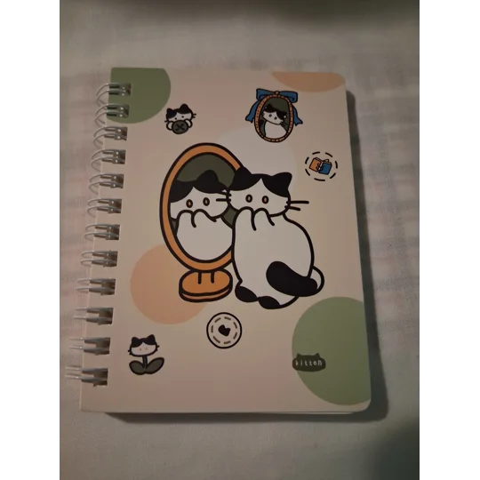 SILLY KITTY POCKET NOTEBOOKS - 1 ea avail
