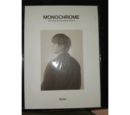 MONOCHROME SELECTION