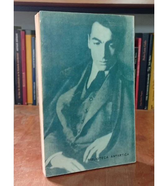 Para leer a Neruda