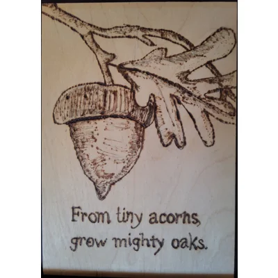 from tiny acorns