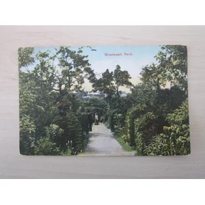 Brockwell Park, London, United Kingdom, Genuine, Original Postcard.