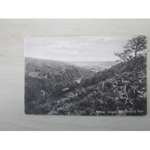 Horner Woods and Porlock Vale
