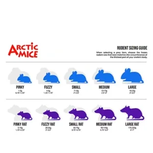 Feeder Mice & Rats