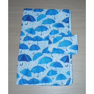 Umbrella Book Cover
