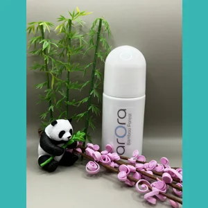 Bamboo Rainforest