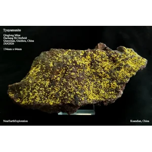 Tyuyamunite - Qinglong Mine, China