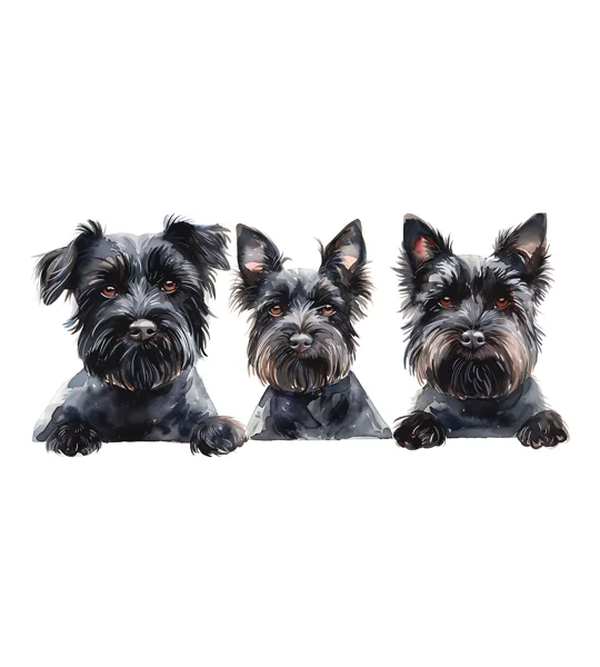 Dog Breeds Mugs