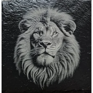 Lions Head