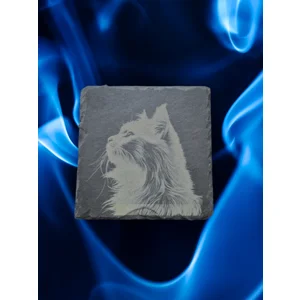 Cats On Slate