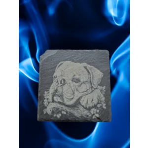 Dog on Slate