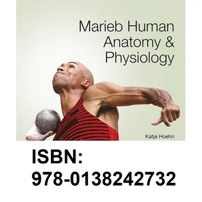 Marieb Human Anatomy & Physiology, Marieb, Hoehn ISBN 9780138242732