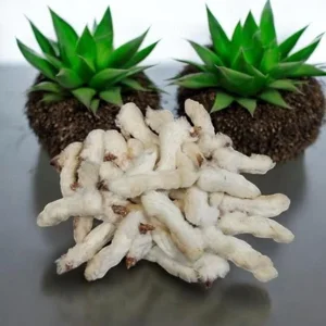 Rabbit Feet 100g