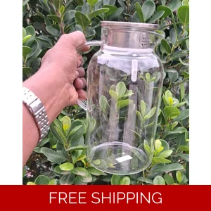 DELI GLASSWARE