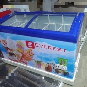 Everest display deep freezer