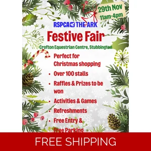 Festive Fair Vendor Pitch