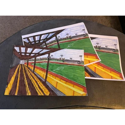 A4 Print - Berwick Rangers Stadium