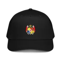 5 panel cap