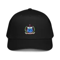 5 panel cap