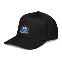 5 panel cap