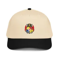 5 panel cap