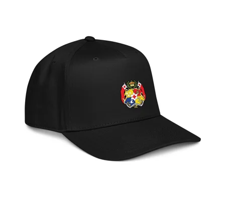 5 panel cap