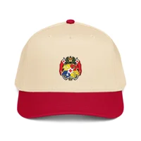 5 panel cap