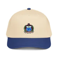 5 panel cap