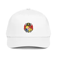 5 panel cap