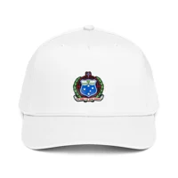 5 panel cap