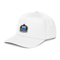5 panel cap