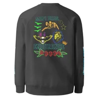 Unisex raglan sweatshirt