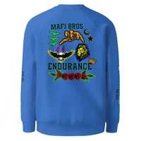 Unisex raglan sweatshirt