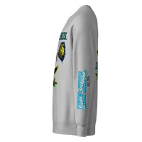 Unisex raglan sweatshirt