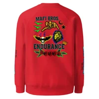 Unisex raglan sweatshirt