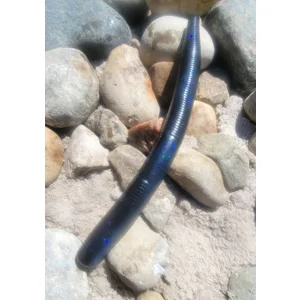 Senko Black/Blue