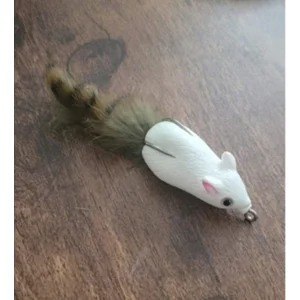 Woodrat White