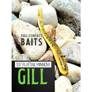 Gill Flattail - 10pc