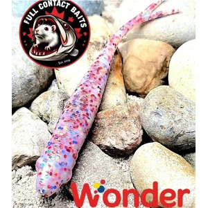 Wonder - 6pc