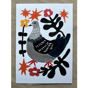 Forest Pigeon