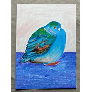 Chunky Pigeon