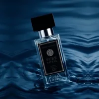 327 Inspired by Chanel Bleu Pure ..
