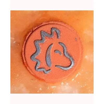 Box of 2 Zodiac Bath Fizzers with Horoscope - Leo