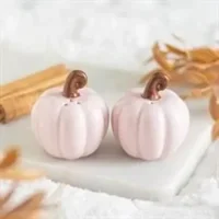 Pink Curly Pumpkin Salt and Peppe..