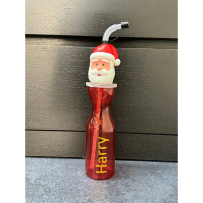 Drinking Bottle - Santa