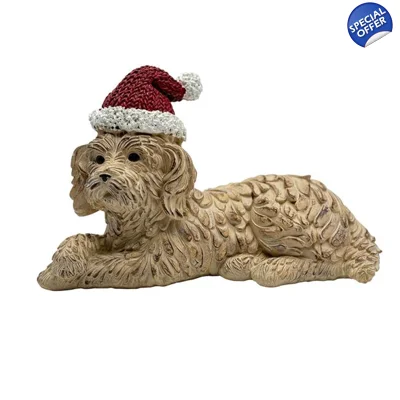 Festive Dog