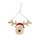 Hanging Reindeer Head