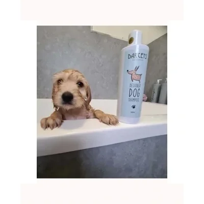 Lady Millionaire Pet Shampoo