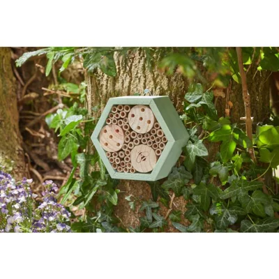 Mason Bee HexBox