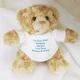 Personalised Message Teddy Bear - Blue